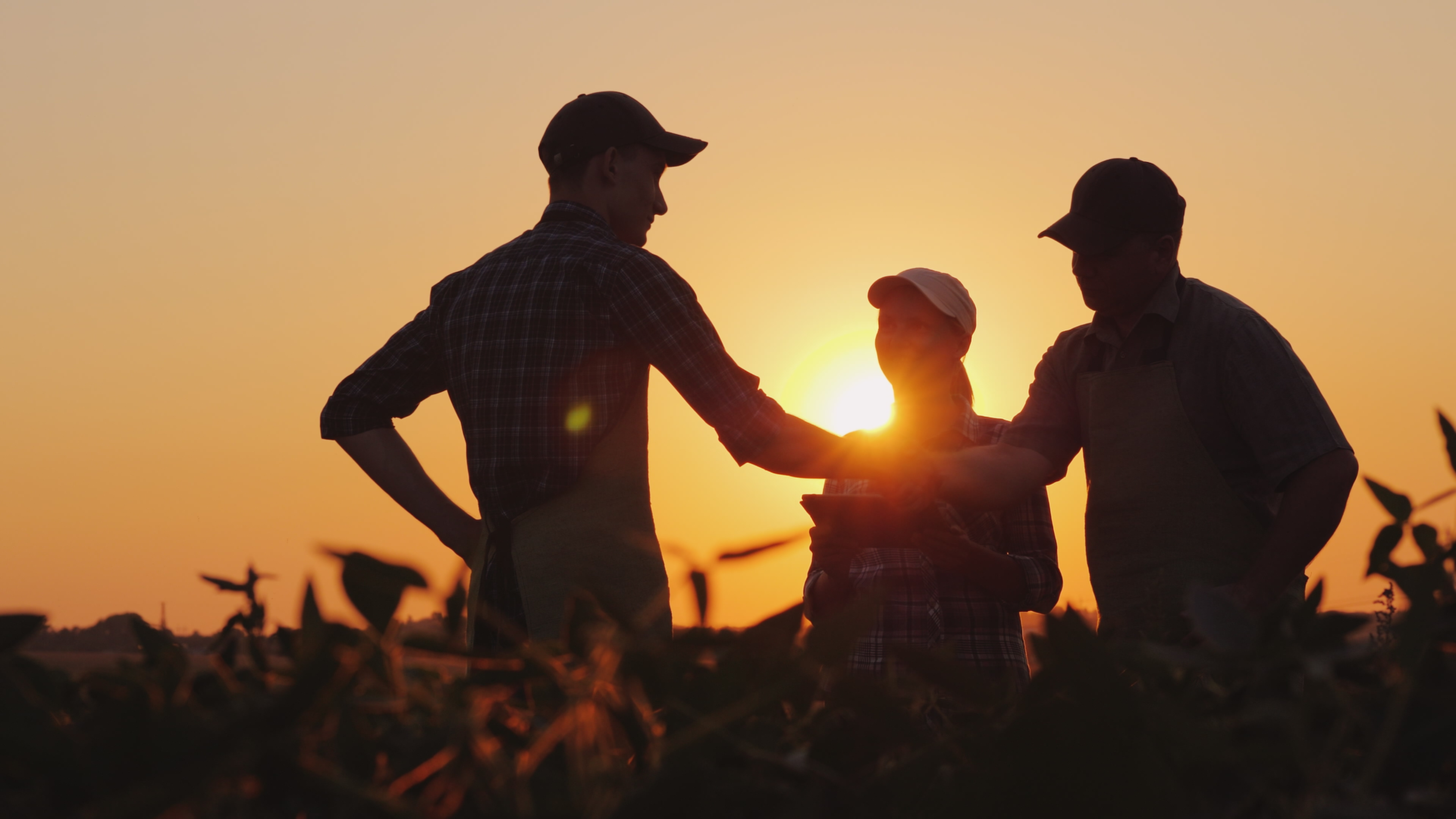Farmers Handshake Sunset